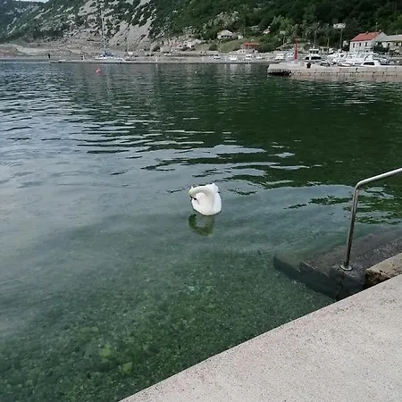 Dinka Bakarac Apartament *