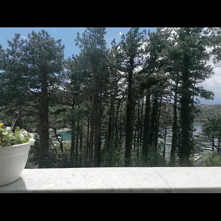 Dinka Bakarac Apartament